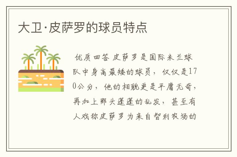 大卫·皮萨罗的球员特点