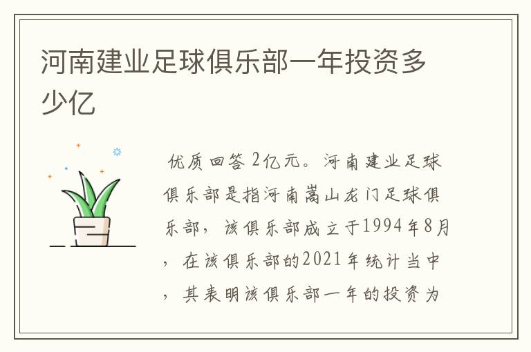河南建业足球俱乐部一年投资多少亿