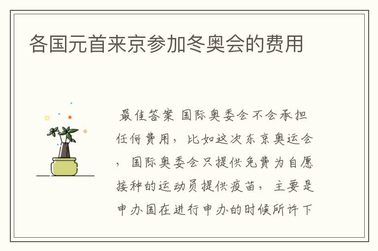 各国元首来京参加冬奥会的费用