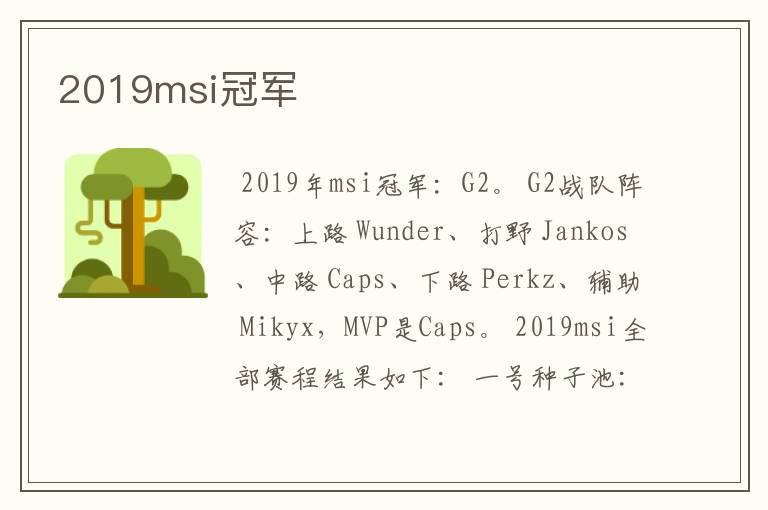 2019msi冠军