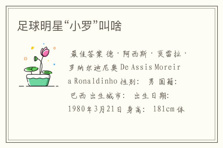 足球明星“小罗”叫啥