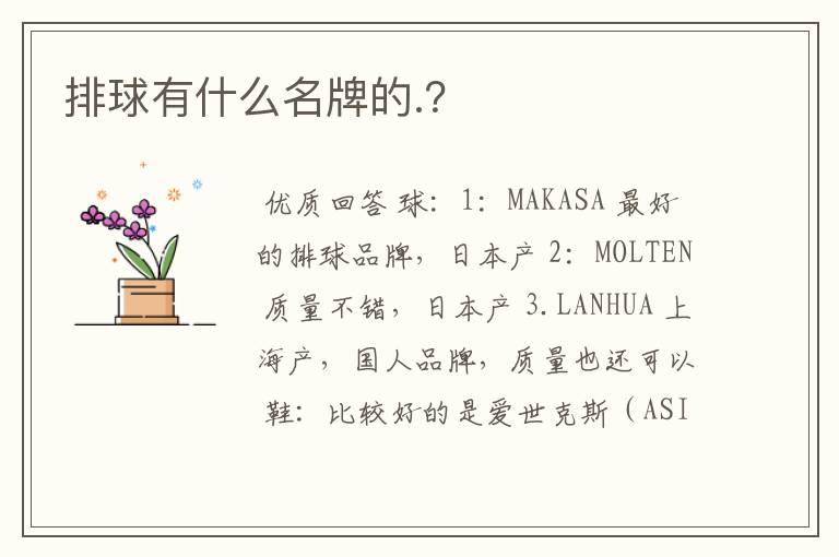 排球有什么名牌的.?