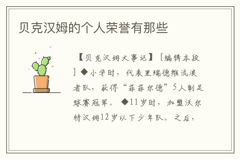 贝克汉姆的个人荣誉有那些