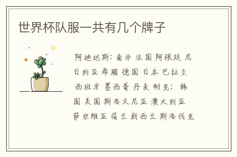 世界杯队服一共有几个牌子