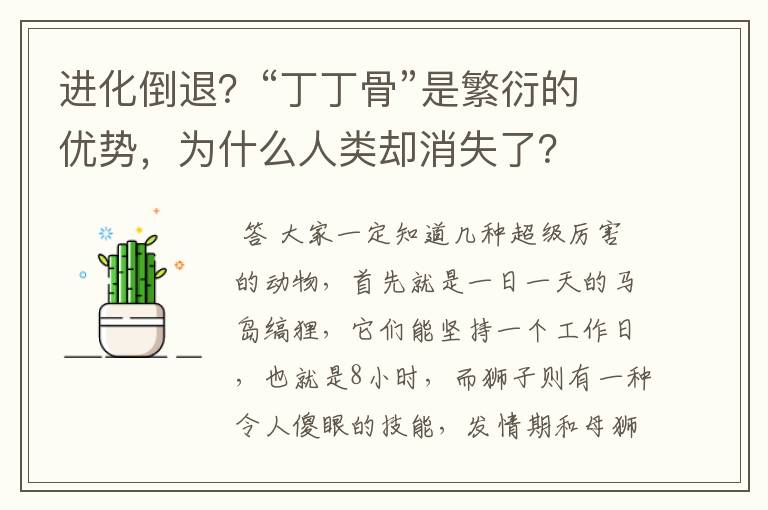进化倒退?“丁丁骨”是繁衍的优势,为什么人类却消失了?