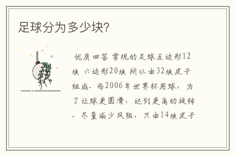 足球分为多少块?