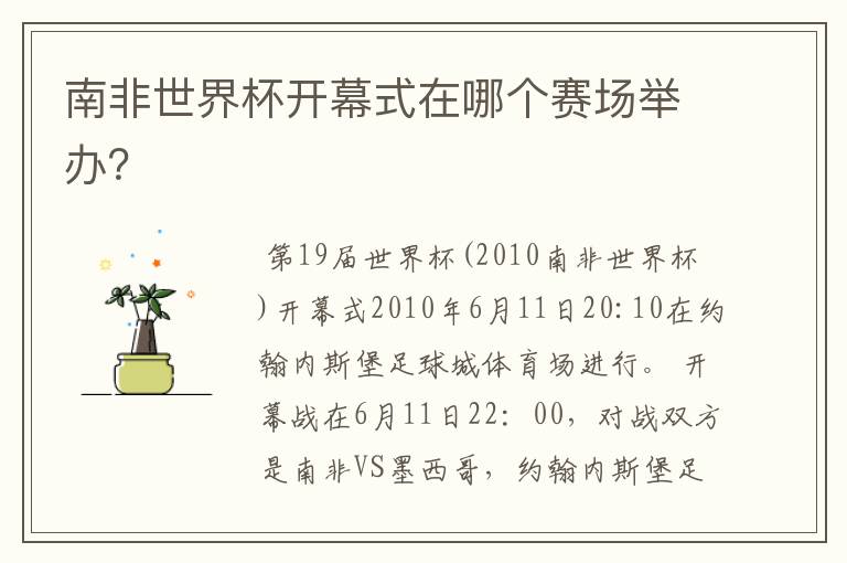 南非世界杯开幕式在哪个赛场举办?