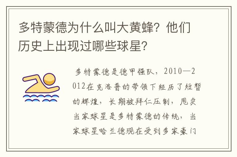 多特蒙德为什么叫大黄蜂?他们历史上出现过哪些球星?