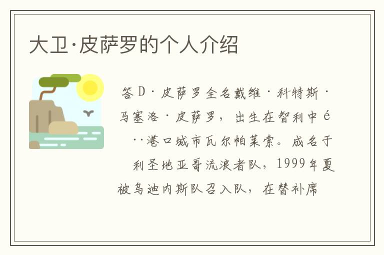 大卫·皮萨罗的个人介绍
