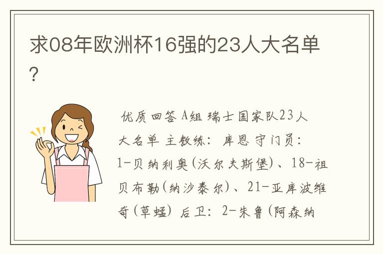 求08年欧洲杯16强的23人大名单?
