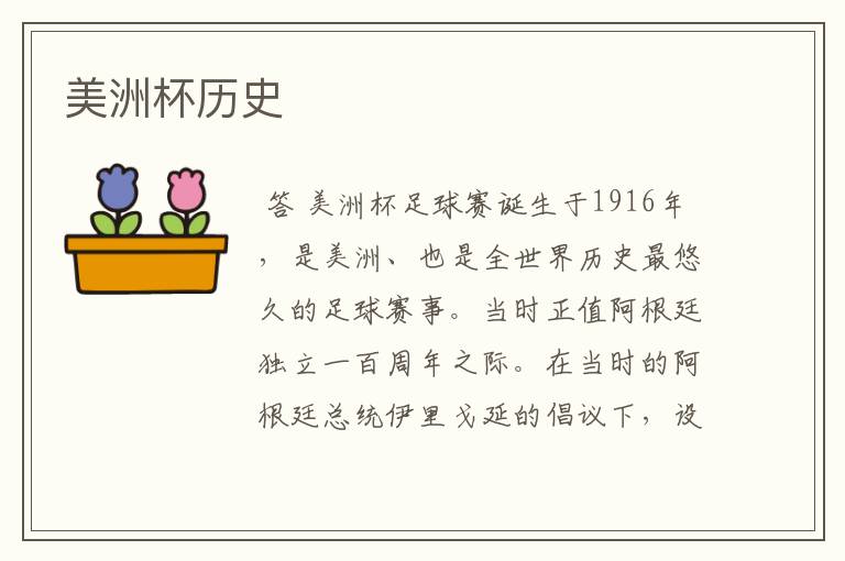 美洲杯历史