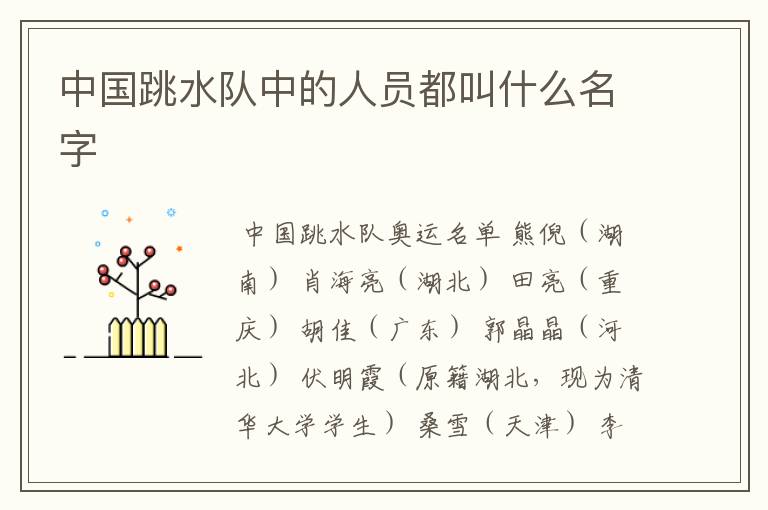 中国跳水队中的人员都叫什么名字