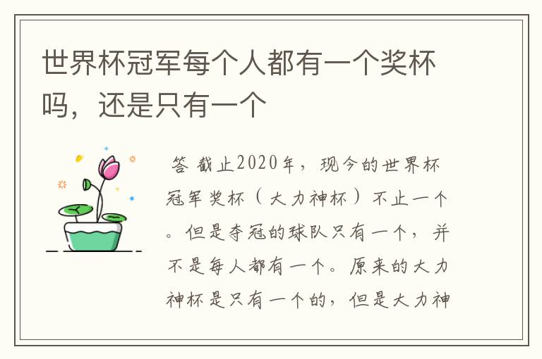 世界杯冠军每个人都有一个奖杯吗,还是只有一个