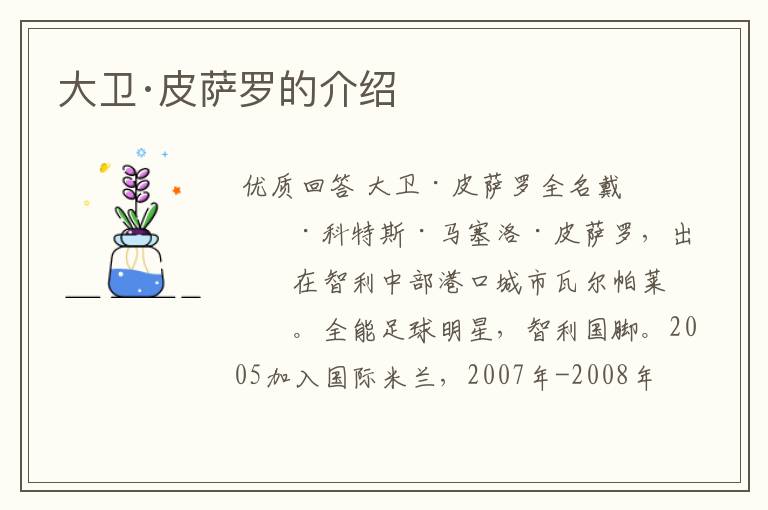 大卫·皮萨罗的介绍