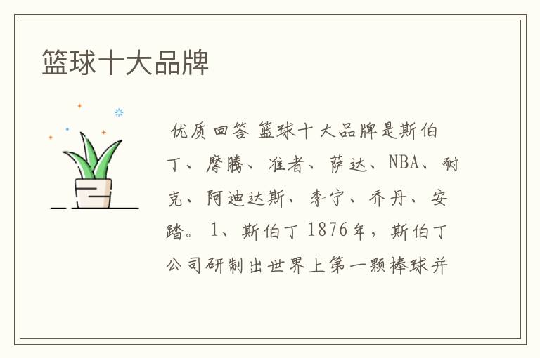 篮球十大品牌