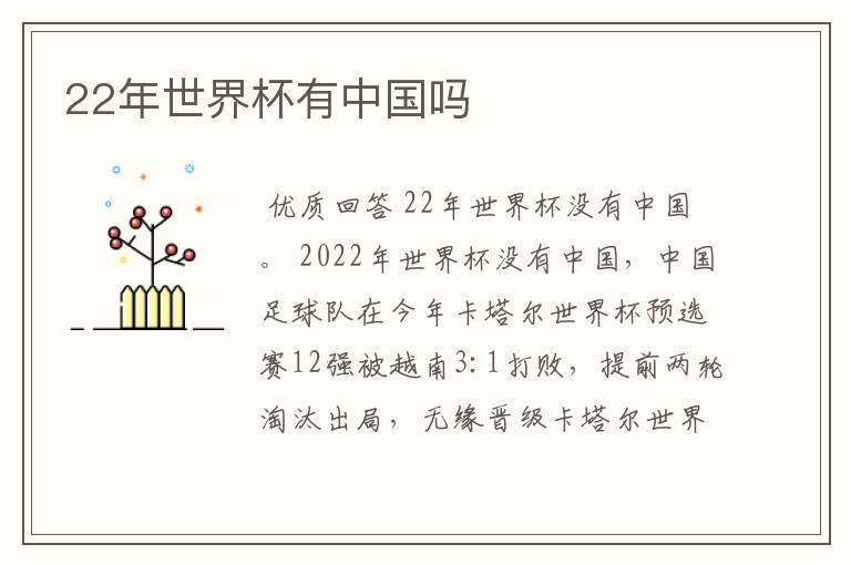 22年世界杯有中国吗