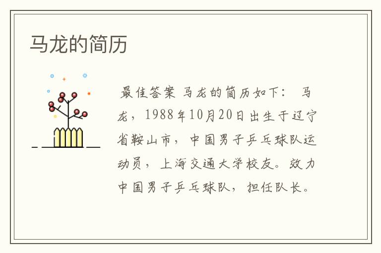 马龙的简历