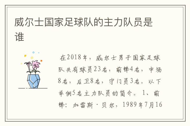 威尔士国家足球队的主力队员是谁