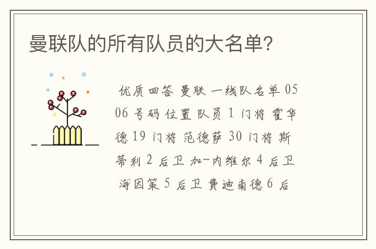 曼联队的所有队员的大名单?