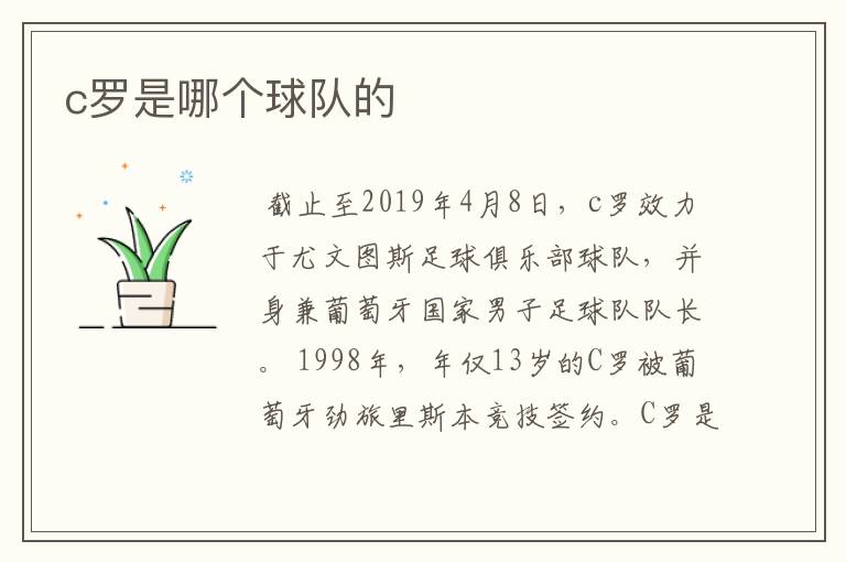 c罗是哪个球队的