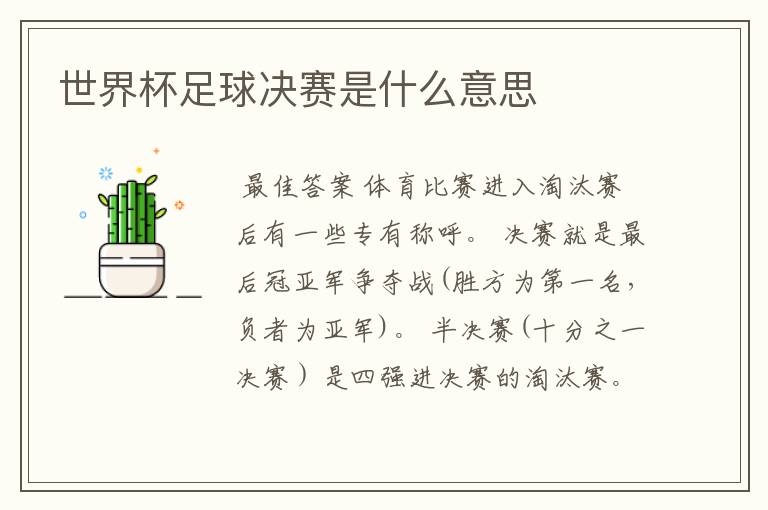 世界杯足球决赛是什么意思