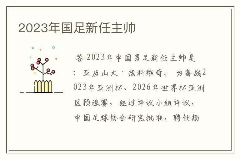 2023年国足新任主帅