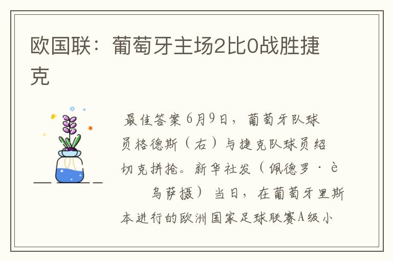 欧国联:葡萄牙主场2比0战胜捷克