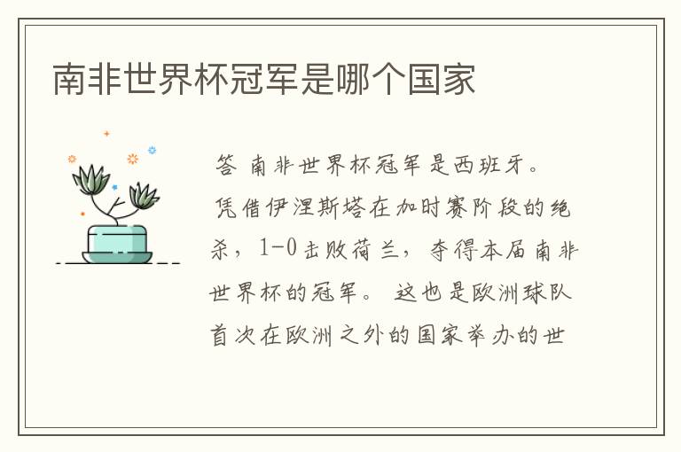 南非世界杯冠军是哪个国家