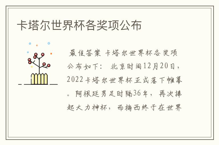卡塔尔世界杯各奖项公布