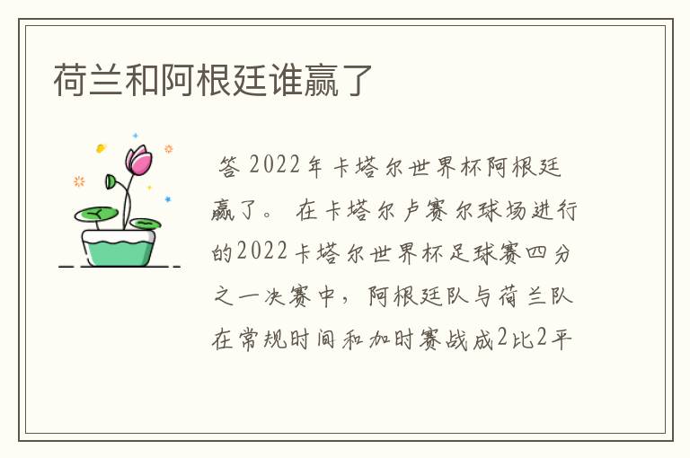 荷兰和阿根廷谁赢了