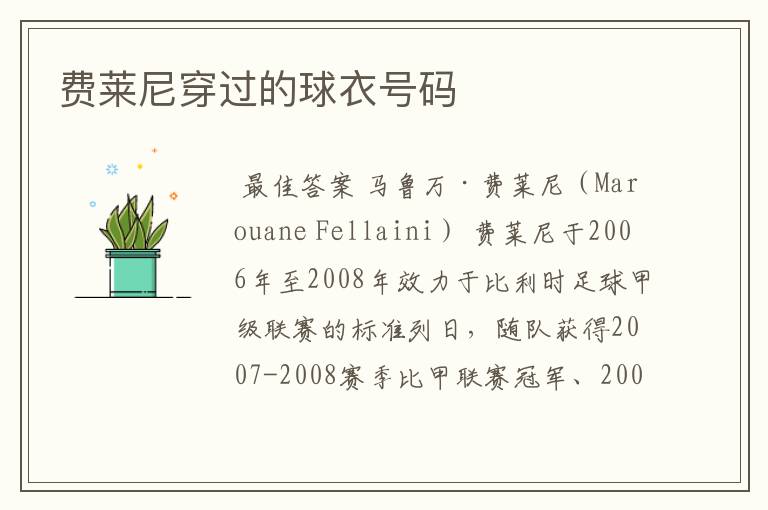 费莱尼穿过的球衣号码