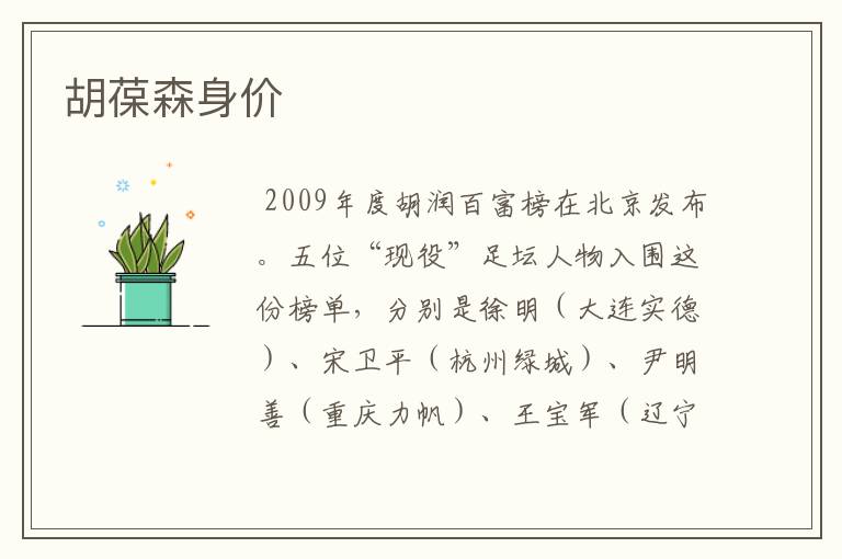 胡葆森身价