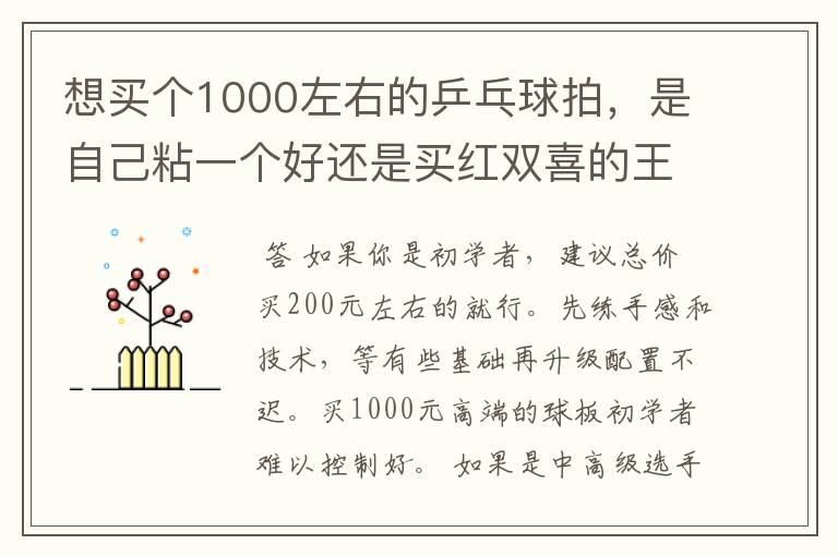 想买个1000左右的乒乓球拍,是自己粘一个好还是买红双喜的王励勤牌子,还是马龙的拍子