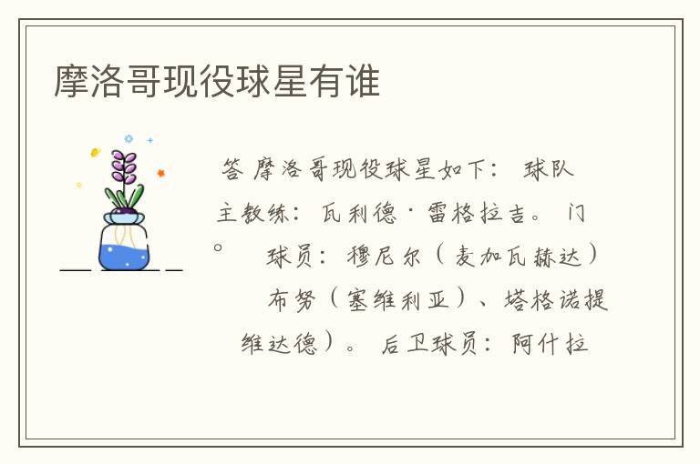 摩洛哥现役球星有谁