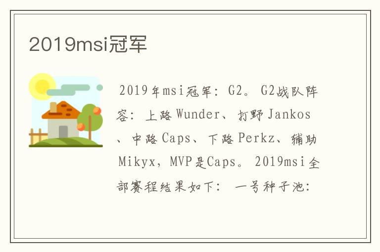 2019msi冠军