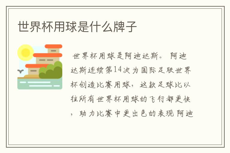 世界杯用球是什么牌子