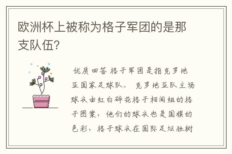 欧洲杯上被称为格子军团的是那支队伍?