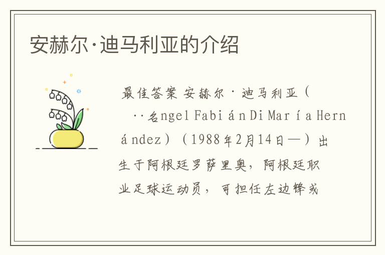 安赫尔·迪马利亚的介绍