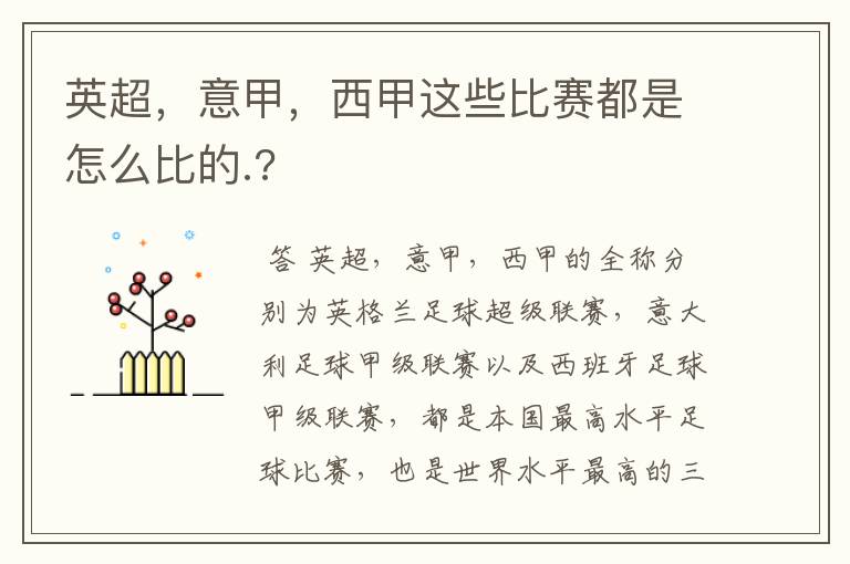英超,意甲,西甲这些比赛都是怎么比的.?