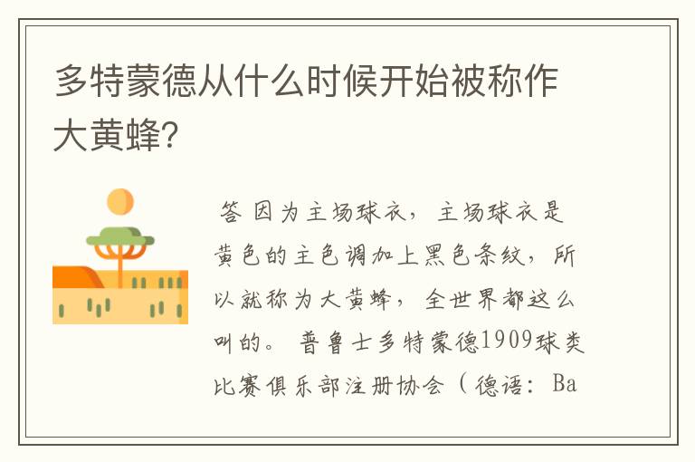 多特蒙德从什么时候开始被称作大黄蜂?