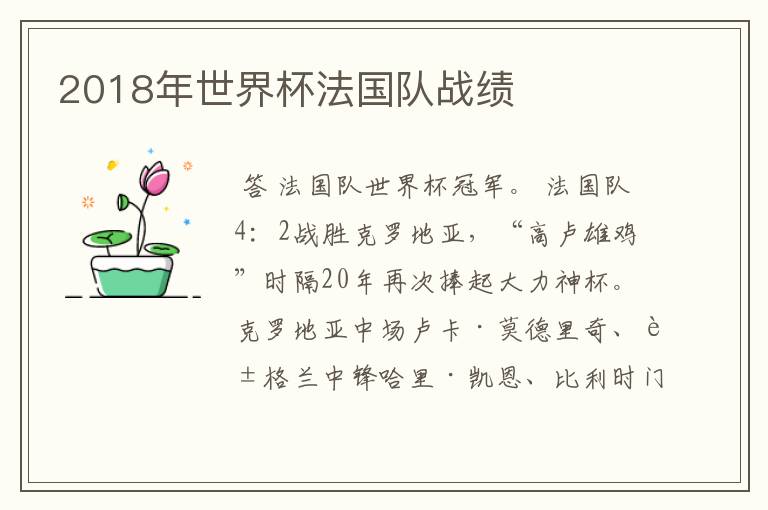 2018年世界杯法国队战绩