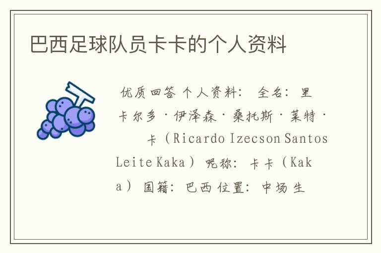 巴西足球队员卡卡的个人资料
