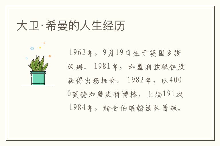 大卫·希曼的人生经历