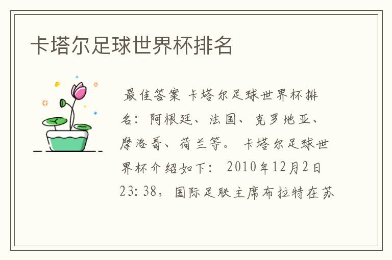 卡塔尔足球世界杯排名