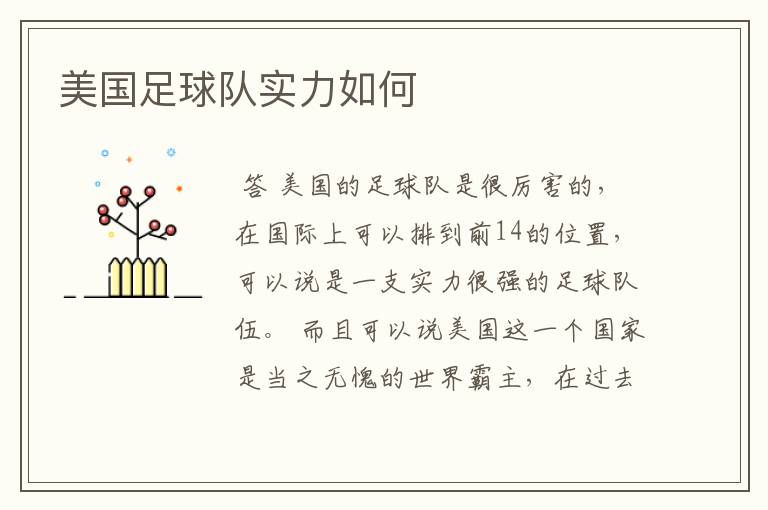 美国足球队实力如何