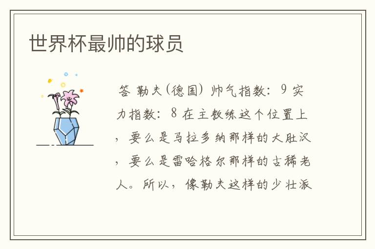 世界杯最帅的球员
