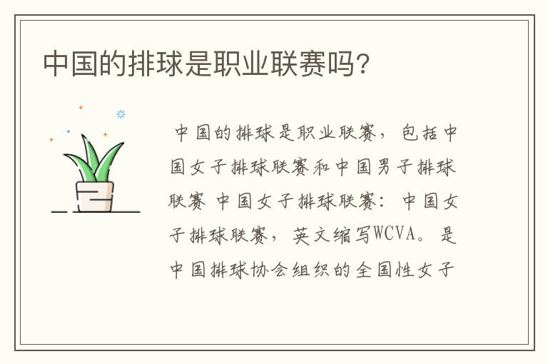 中国的排球是职业联赛吗?