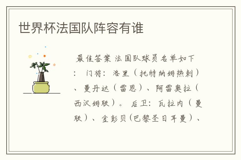 世界杯法国队阵容有谁