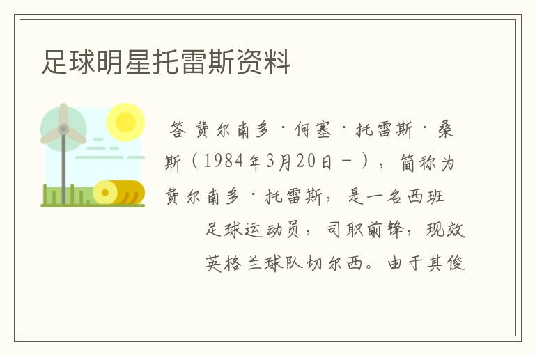 足球明星托雷斯资料