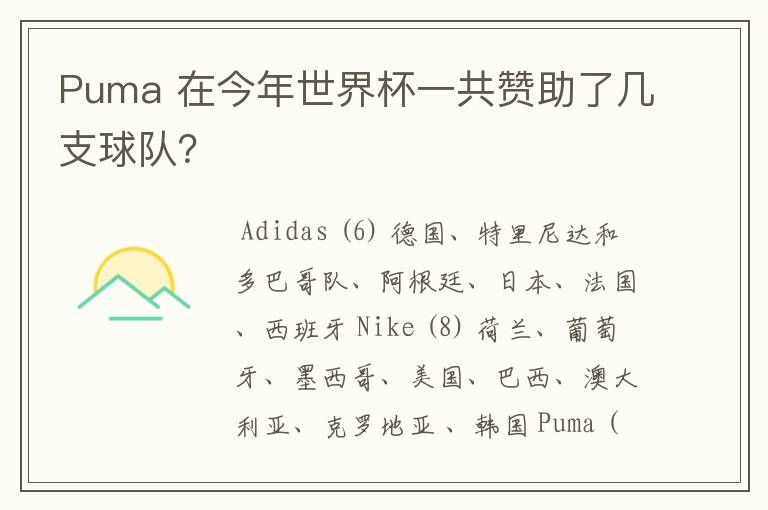 Puma 在今年世界杯一共赞助了几支球队?